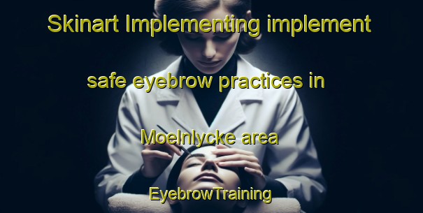 Skinart Implementing implement safe eyebrow practices in Moelnlycke area | EyebrowTraining | EyebrowClasses | SkinartTraining-Sweden