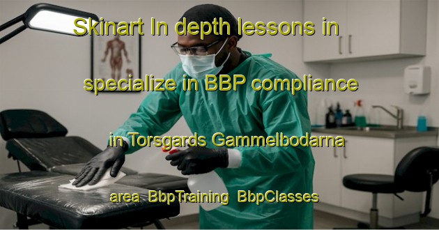 Skinart In-depth lessons in specialize in BBP compliance in Torsgards Gammelbodarna area | BbpTraining | BbpClasses | SkinartTraining-Sweden