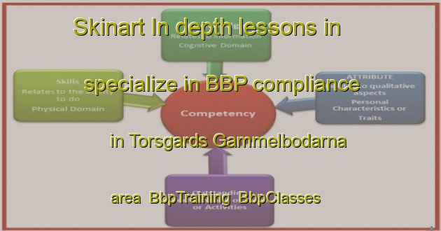Skinart In-depth lessons in specialize in BBP compliance in Torsgards Gammelbodarna area | BbpTraining | BbpClasses | SkinartTraining-Sweden