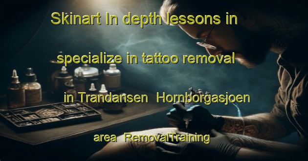 Skinart In-depth lessons in specialize in tattoo removal in Trandansen  Hornborgasjoen area | RemovalTraining | RemovalClasses | SkinartTraining-Sweden