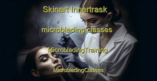 Skinart Innertrask microblading classes | #MicrobladingTraining #MicrobladingClasses #SkinartTraining-Sweden