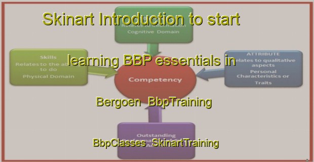 Skinart Introduction to start learning BBP essentials in Bergoen | BbpTraining | BbpClasses | SkinartTraining-Sweden