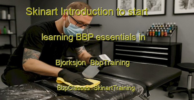 Skinart Introduction to start learning BBP essentials in Bjorksjon | BbpTraining | BbpClasses | SkinartTraining-Sweden