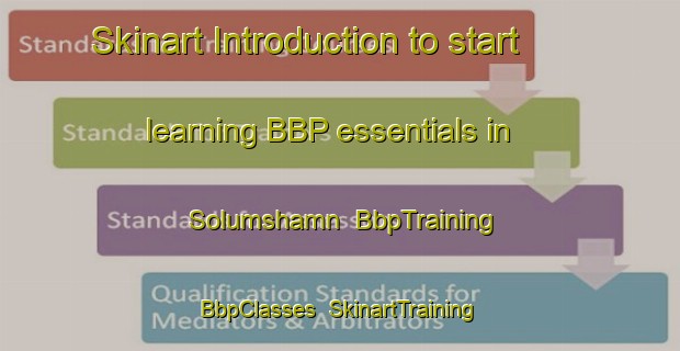 Skinart Introduction to start learning BBP essentials in Solumshamn | BbpTraining | BbpClasses | SkinartTraining-Sweden