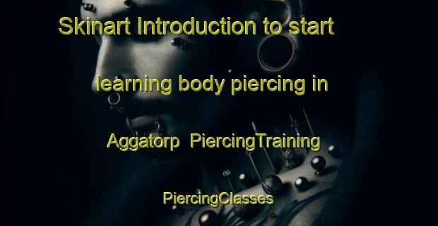 Skinart Introduction to start learning body piercing in Aggatorp | #PiercingTraining #PiercingClasses #SkinartTraining-Sweden