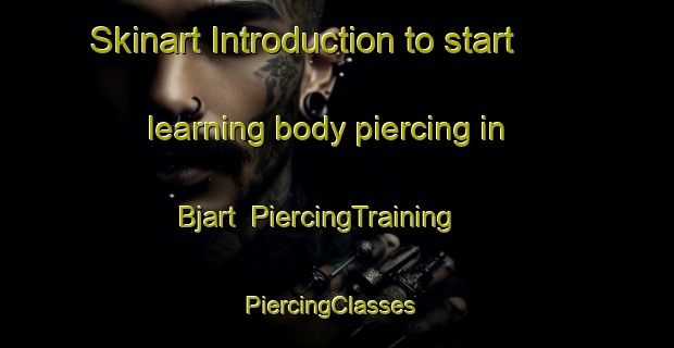 Skinart Introduction to start learning body piercing in Bjart | PiercingTraining | PiercingClasses | SkinartTraining-Sweden