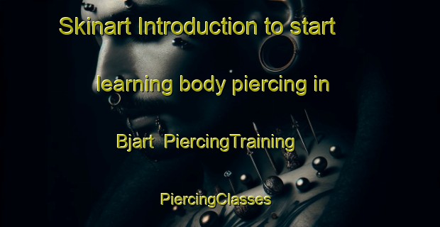 Skinart Introduction to start learning body piercing in Bjart | PiercingTraining | PiercingClasses | SkinartTraining-Sweden