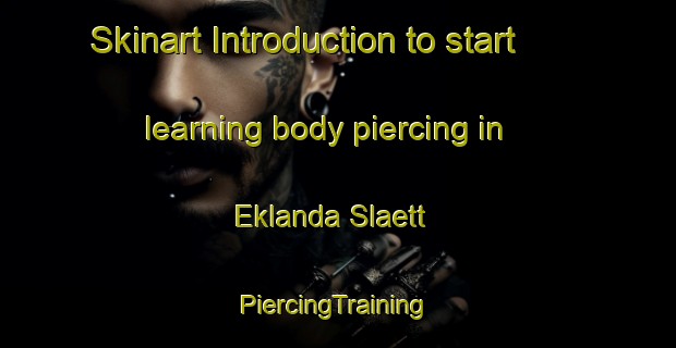 Skinart Introduction to start learning body piercing in Eklanda Slaett | #PiercingTraining #PiercingClasses #SkinartTraining-Sweden