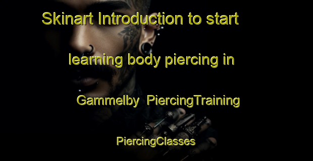 Skinart Introduction to start learning body piercing in Gammelby | #PiercingTraining #PiercingClasses #SkinartTraining-Sweden