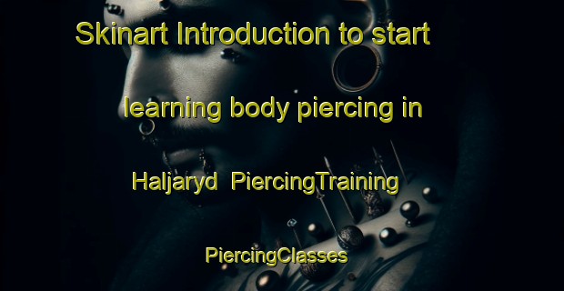 Skinart Introduction to start learning body piercing in Haljaryd | PiercingTraining | PiercingClasses | SkinartTraining-Sweden