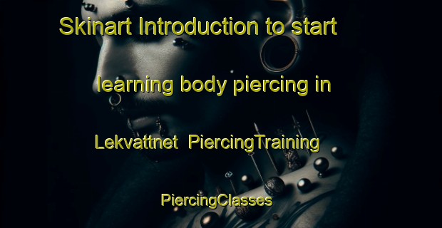 Skinart Introduction to start learning body piercing in Lekvattnet | PiercingTraining | PiercingClasses | SkinartTraining-Sweden