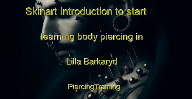 Skinart Introduction to start learning body piercing in Lilla Barkaryd | #PiercingTraining #PiercingClasses #SkinartTraining-Sweden