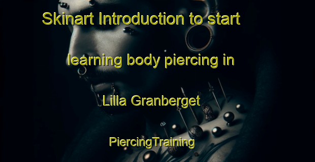 Skinart Introduction to start learning body piercing in Lilla Granberget | PiercingTraining | PiercingClasses | SkinartTraining-Sweden