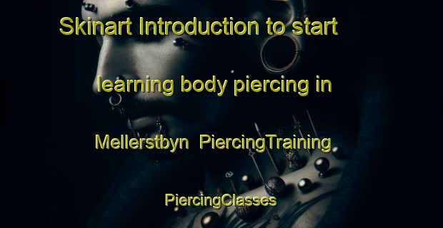 Skinart Introduction to start learning body piercing in Mellerstbyn | #PiercingTraining #PiercingClasses #SkinartTraining-Sweden