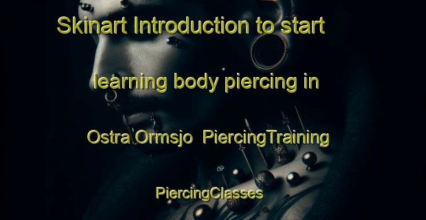 Skinart Introduction to start learning body piercing in Ostra Ormsjo | PiercingTraining | PiercingClasses | SkinartTraining-Sweden