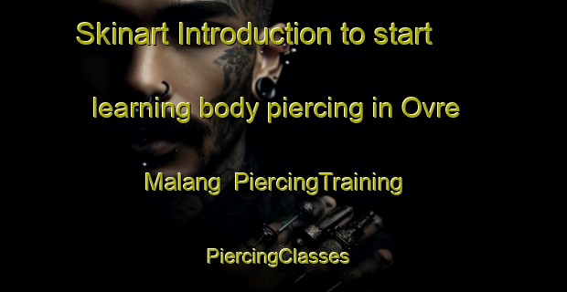 Skinart Introduction to start learning body piercing in Ovre Malang | PiercingTraining | PiercingClasses | SkinartTraining-Sweden