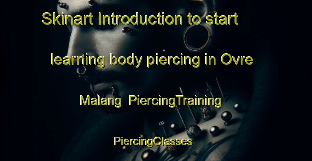 Skinart Introduction to start learning body piercing in Ovre Malang | PiercingTraining | PiercingClasses | SkinartTraining-Sweden