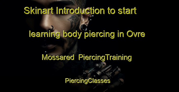 Skinart Introduction to start learning body piercing in Ovre Mossared | PiercingTraining | PiercingClasses | SkinartTraining-Sweden