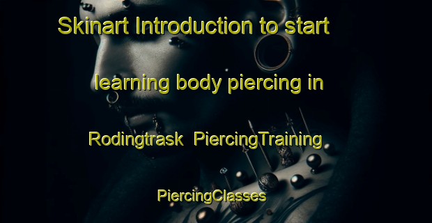 Skinart Introduction to start learning body piercing in Rodingtrask | PiercingTraining | PiercingClasses | SkinartTraining-Sweden