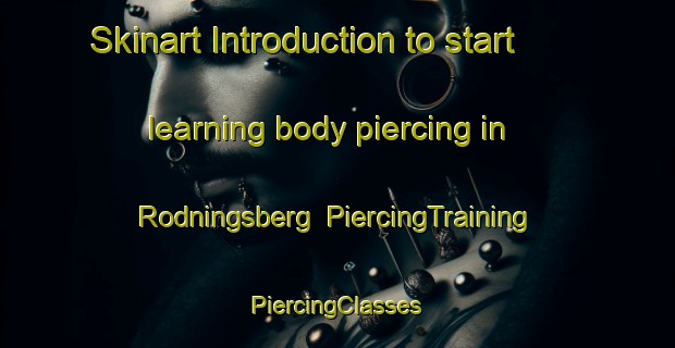 Skinart Introduction to start learning body piercing in Rodningsberg | #PiercingTraining #PiercingClasses #SkinartTraining-Sweden