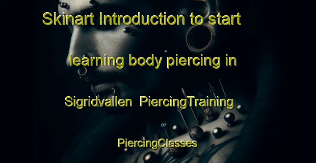 Skinart Introduction to start learning body piercing in Sigridvallen | #PiercingTraining #PiercingClasses #SkinartTraining-Sweden