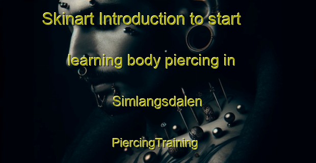 Skinart Introduction to start learning body piercing in Simlangsdalen | #PiercingTraining #PiercingClasses #SkinartTraining-Sweden