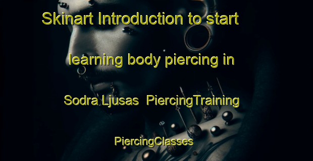 Skinart Introduction to start learning body piercing in Sodra Ljusas | PiercingTraining | PiercingClasses | SkinartTraining-Sweden