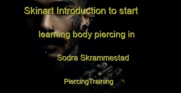 Skinart Introduction to start learning body piercing in Sodra Skrammestad | #PiercingTraining #PiercingClasses #SkinartTraining-Sweden