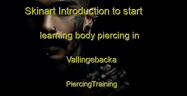 Skinart Introduction to start learning body piercing in Vallingebacka | #PiercingTraining #PiercingClasses #SkinartTraining-Sweden