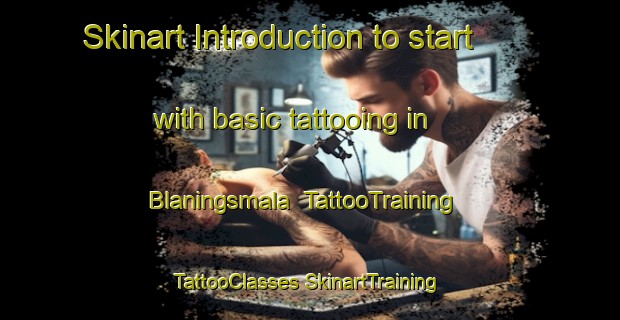 Skinart Introduction to start with basic tattooing in Blaningsmala | #TattooTraining #TattooClasses #SkinartTraining-Sweden