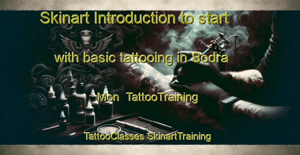 Skinart Introduction to start with basic tattooing in Sodra Mon | #TattooTraining #TattooClasses #SkinartTraining-Sweden