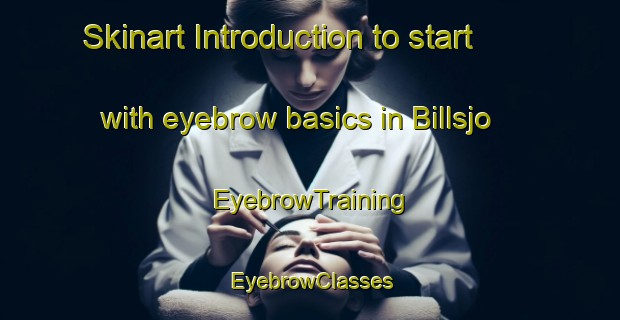 Skinart Introduction to start with eyebrow basics in Billsjo | EyebrowTraining | EyebrowClasses | SkinartTraining-Sweden