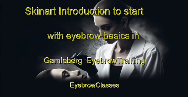 Skinart Introduction to start with eyebrow basics in Gamleberg | EyebrowTraining | EyebrowClasses | SkinartTraining-Sweden