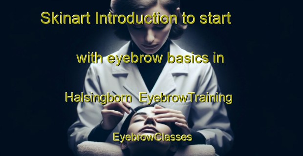 Skinart Introduction to start with eyebrow basics in Halsingborn | EyebrowTraining | EyebrowClasses | SkinartTraining-Sweden
