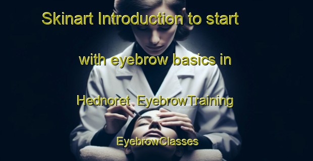 Skinart Introduction to start with eyebrow basics in Hednoret | EyebrowTraining | EyebrowClasses | SkinartTraining-Sweden