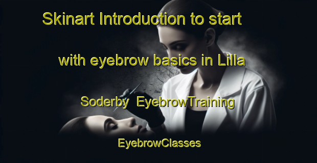 Skinart Introduction to start with eyebrow basics in Lilla Soderby | EyebrowTraining | EyebrowClasses | SkinartTraining-Sweden