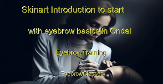 Skinart Introduction to start with eyebrow basics in Ondal | EyebrowTraining | EyebrowClasses | SkinartTraining-Sweden