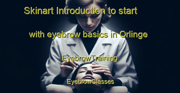 Skinart Introduction to start with eyebrow basics in Orlinge | EyebrowTraining | EyebrowClasses | SkinartTraining-Sweden