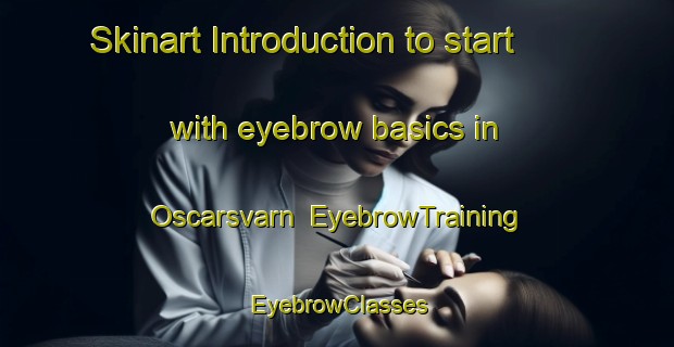 Skinart Introduction to start with eyebrow basics in Oscarsvarn | EyebrowTraining | EyebrowClasses | SkinartTraining-Sweden