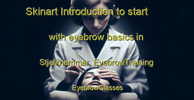 Skinart Introduction to start with eyebrow basics in Stjalkhammar | EyebrowTraining | EyebrowClasses | SkinartTraining-Sweden