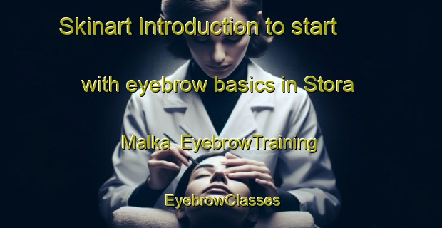Skinart Introduction to start with eyebrow basics in Stora Malka | EyebrowTraining | EyebrowClasses | SkinartTraining-Sweden