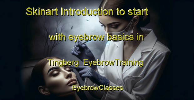 Skinart Introduction to start with eyebrow basics in Tingberg | EyebrowTraining | EyebrowClasses | SkinartTraining-Sweden