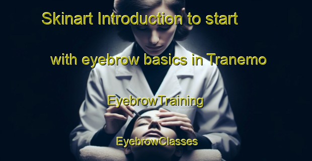 Skinart Introduction to start with eyebrow basics in Tranemo | EyebrowTraining | EyebrowClasses | SkinartTraining-Sweden
