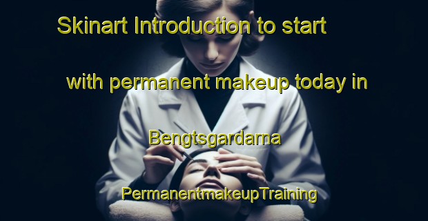 Skinart Introduction to start with permanent makeup today in Bengtsgardarna | PermanentmakeupTraining | PermanentmakeupClasses | SkinartTraining-Sweden