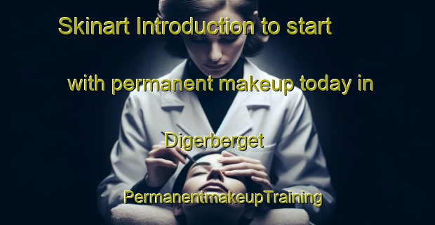 Skinart Introduction to start with permanent makeup today in Digerberget | PermanentmakeupTraining | PermanentmakeupClasses | SkinartTraining-Sweden