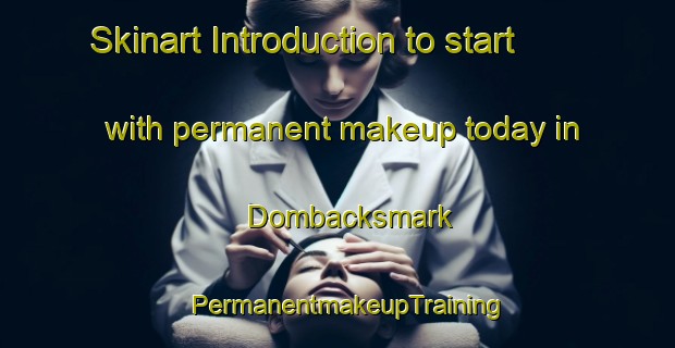 Skinart Introduction to start with permanent makeup today in Dombacksmark | PermanentmakeupTraining | PermanentmakeupClasses | SkinartTraining-Sweden