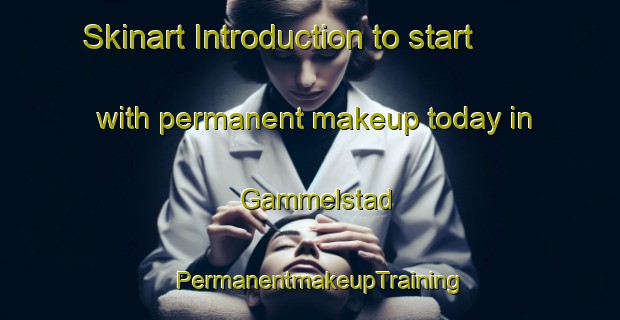 Skinart Introduction to start with permanent makeup today in Gammelstad | PermanentmakeupTraining | PermanentmakeupClasses | SkinartTraining-Sweden