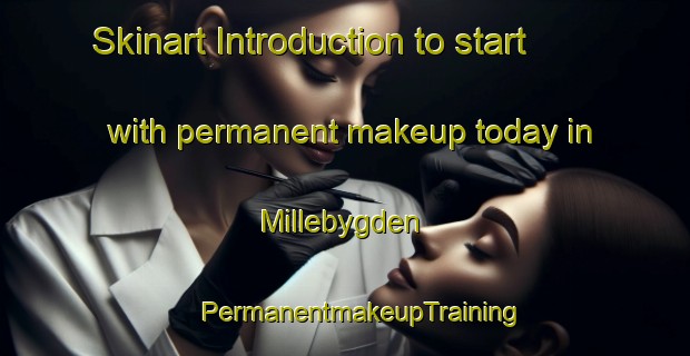 Skinart Introduction to start with permanent makeup today in Millebygden | #PermanentmakeupTraining #PermanentmakeupClasses #SkinartTraining-Sweden