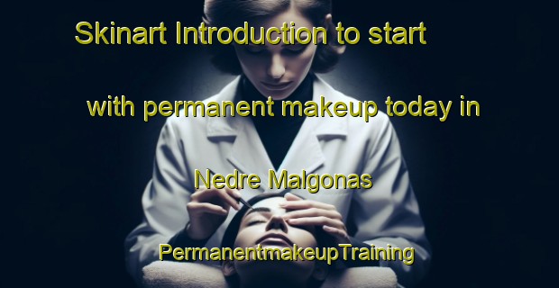 Skinart Introduction to start with permanent makeup today in Nedre Malgonas | PermanentmakeupTraining | PermanentmakeupClasses | SkinartTraining-Sweden