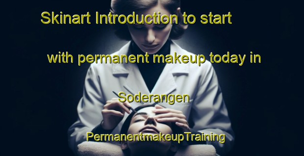 Skinart Introduction to start with permanent makeup today in Soderangen | PermanentmakeupTraining | PermanentmakeupClasses | SkinartTraining-Sweden